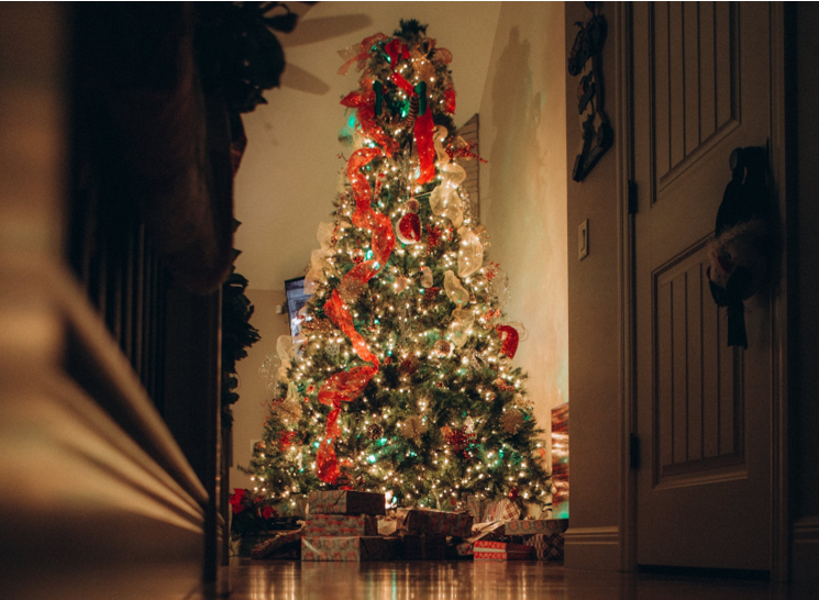 Workouts and Winter Wonders: How to Choose a Christmas Tree and Stay Active During the Holidays