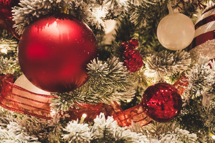 Discovering the Perfect Christmas Tree: Real or Artificial?